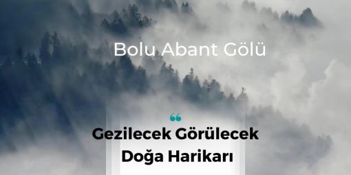  Bolu Abant Gölü 